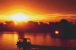 (image for) African Sunset